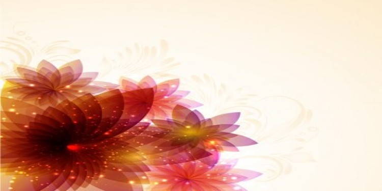 Header Image