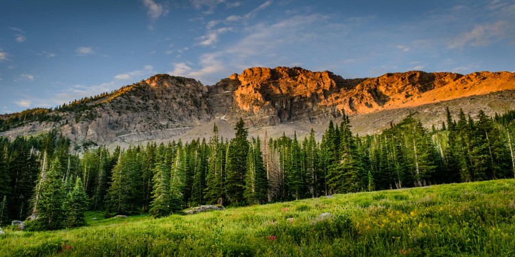 Header Image